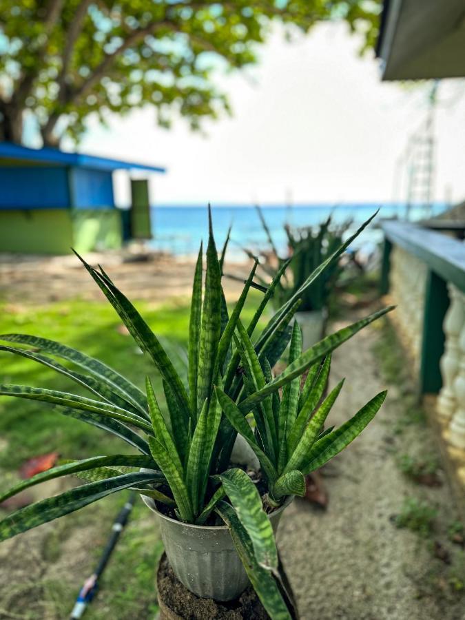 1Peace Beach Resort Anda  Eksteriør billede